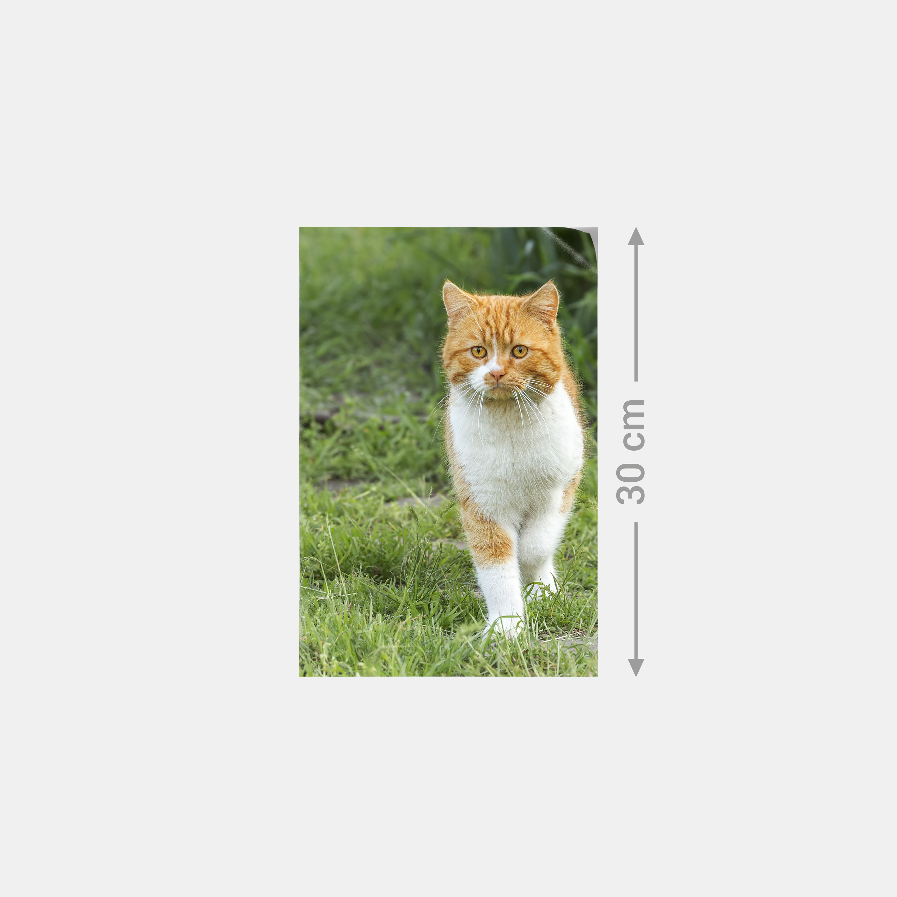 Premium Poster 30 x 20 Hoch | i-Port