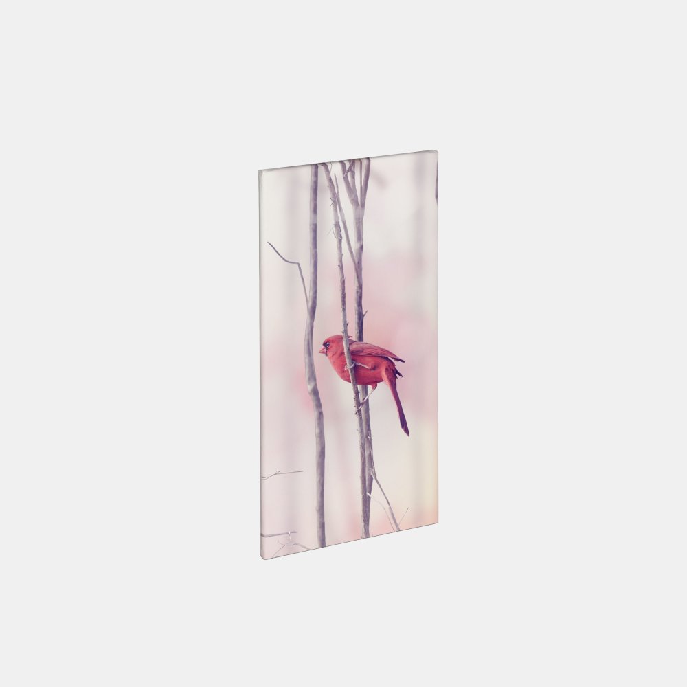 Die Leinwand im Hochformat 40x20 cm zeigt einen roten Vogel auf einem Ast vor verschwommenem, rosa gefärbtem Hintergrund.
