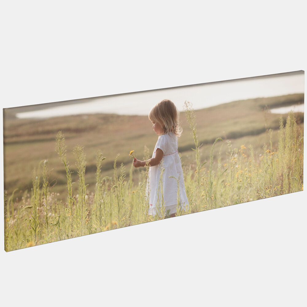 Auf der Leinwand ist ein kleines Mädchen in weißem Kleid mit Blume in der Hand auf einer Sommerwiese.